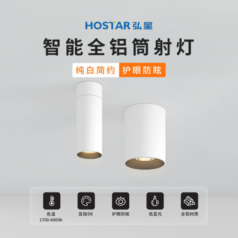 智能全铝筒射灯