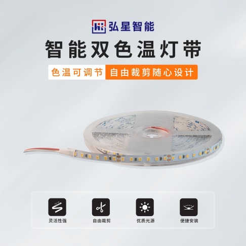 智能双色温灯带